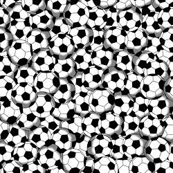 White - Soccer Balls